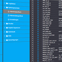 Dynamischer Editor für den Web-Client