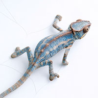 Wenn Wachstum ERP-Projekte gefährdet, stimmt das Fundament nicht