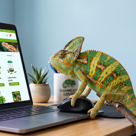 Webshop im neuen Gewand